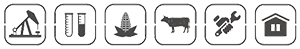 yolacapital